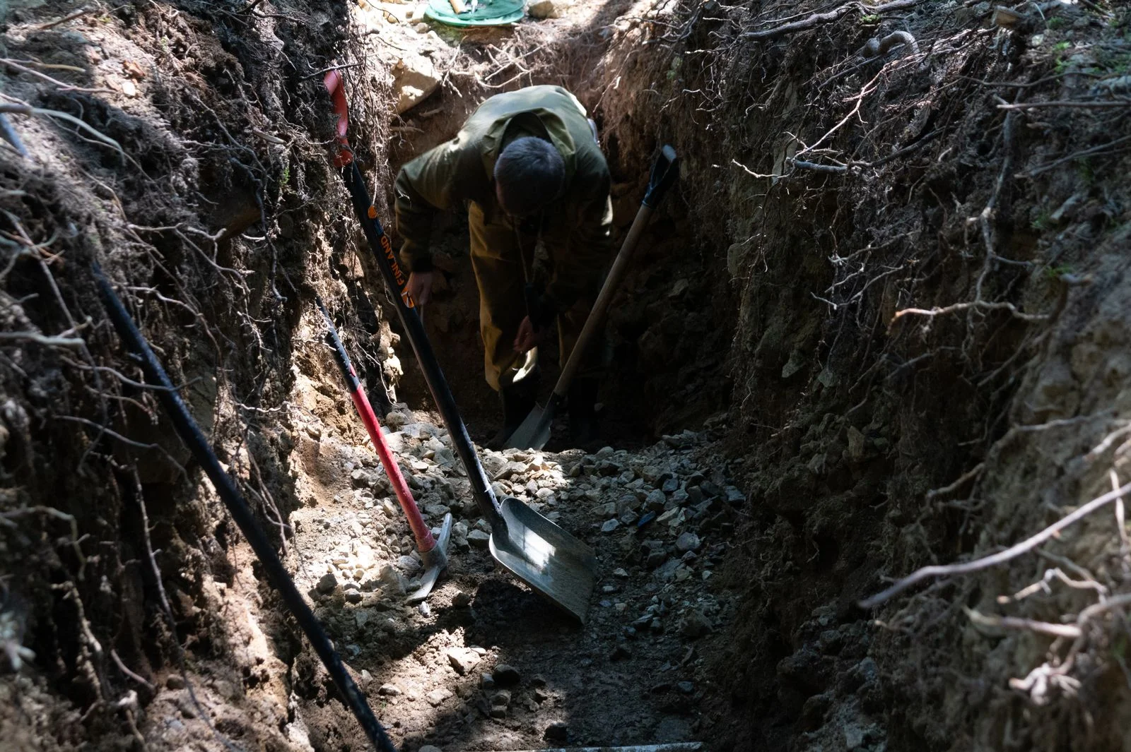 a narrow trench cut through a mat of tree roots, the commonest single reason a sewer line repair in Cleveland TN is needed