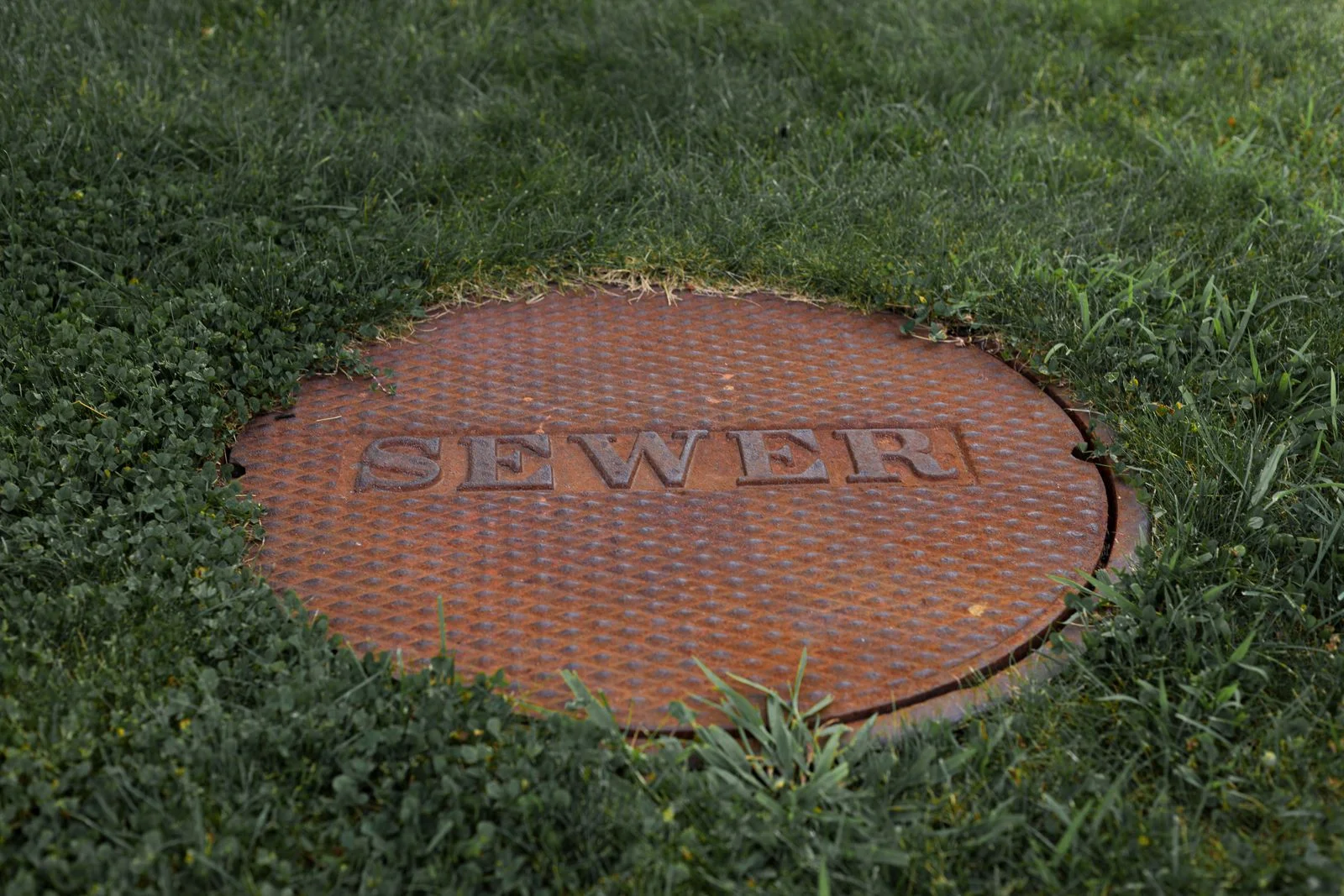a cast iron sewer access cover set into a lawn, usually the only part of the main sewer line a homeowner ever sees
