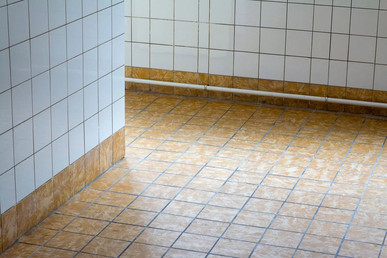a plain tiled floor meeting a tiled wall with an exposed pipe running along the base